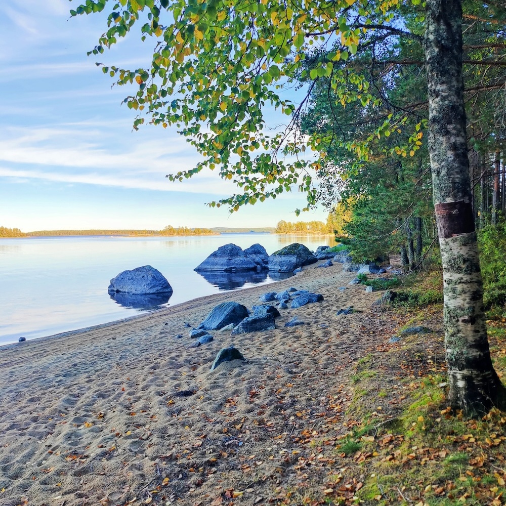 Small beach with boulder rocks and birch trees by the shore.
